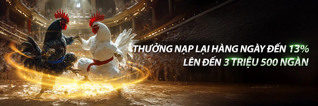 Trường đấu gà trực tiếp sôi động tại nhà cái vs bet